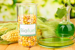 Burnton biofuel availability