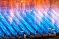 Burnton gas fired boilers